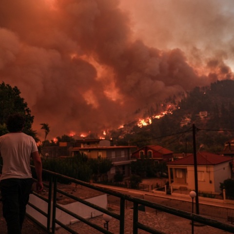 Φωτιά στην Εύβοια: Μάχη για να μην φτάσουν οι φλόγες σε σπίτια στις Γούβες
