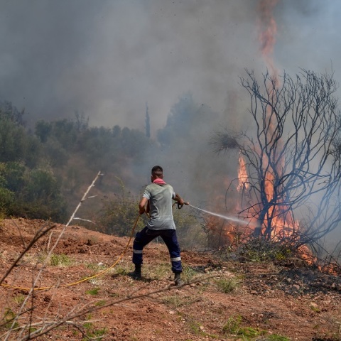 Φωτιά στην Ηλεία: Προσπάθειες για την κατάσβεση των αναζωπυρώσεων