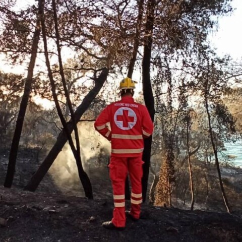 Η Ερυθράς Ημισέληνος των Ηνωμένων Αραβικών Εμιράτων σε συνεργασία με τον Ελληνικό Ερυθρό Σταυρό, στέλνει σημαντική βοήθεια στους πυρόπληκτους © EUROKINISSI