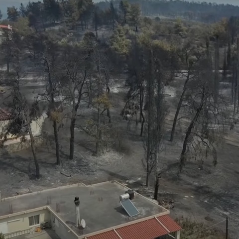 Εύβοια: Η ομάδα Up Stories πάνω από τις καμένες εκτάσεις