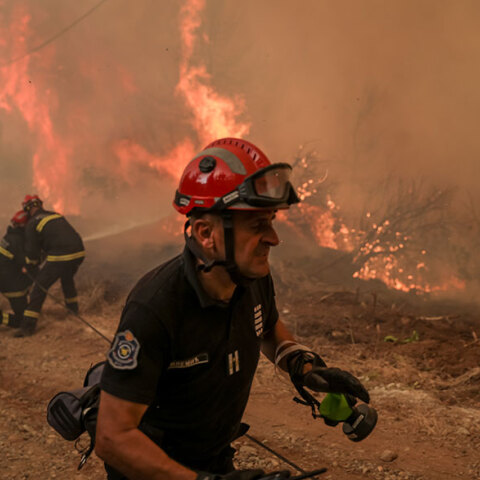 Πυροσβέστης στην Εύβοια, αντιμέτωπος με τη φωτιά