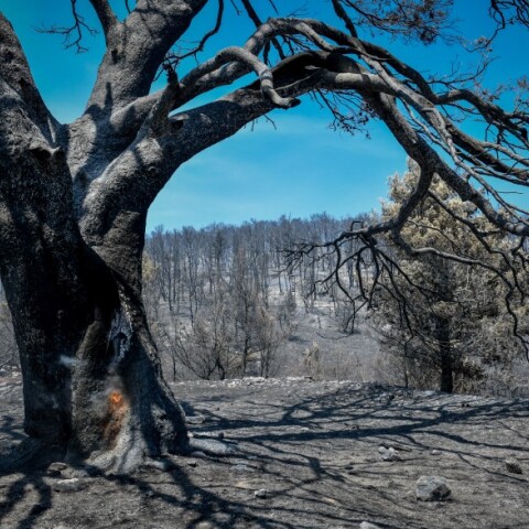 Στιγμιότυπο από τις καταστροφές που προκάλεσε η φωτιά στην Β. Α. Αττική © EUROKINISSI