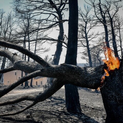 Φωτιά στη Βαρυμπόμπη © EUROKINISSI