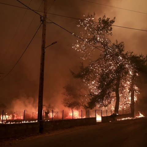 Φωτιά στο Πευκί Ευβοίας