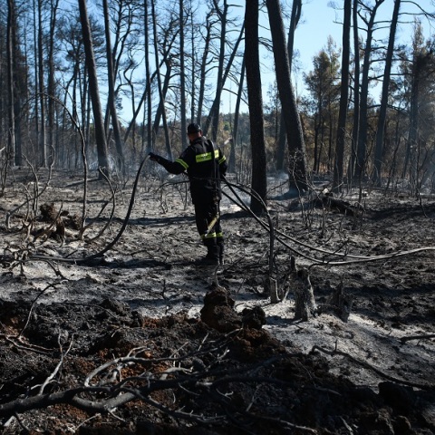 Καμένες εκτάσεις μετά τη φωτιά στη βορειοανατολική Αττική