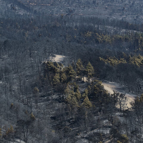 Φωτιά στην Αττική: Καμένες εκτάσεις στην Πάρνηθα - Χιλιάδες νοικοκυριά παραμένουν χωρίς ρεύμα, όπως ανακοίνωσε ο ΔΕΔΔΗΕ