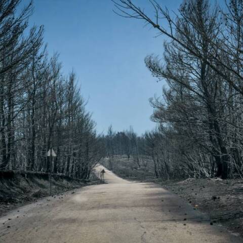 ΠYΡΚΑΓΙΑ Β.Α ΑΤΤΙΚΗ -ΕΠΟΜΕΝΗ ΜΕΡΑ // ΚΑΤΑΣΤΡΟΦΕΣ ΔΡΟΣΟΠΗΓΗ