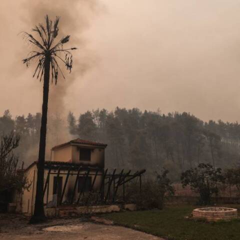 ΠΥΡΚΑΓΙΑ ΣΤΗΝ Β. ΕΥΒΟΙΑ / ΜΕΤΩΠΟ ΣΤΙΣ ΓΟΥΒΕΣ