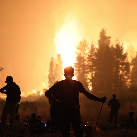 Μάχη πολιτών και πυροσβεστών με τις αναζωπυρώσεις στην Εύβοια