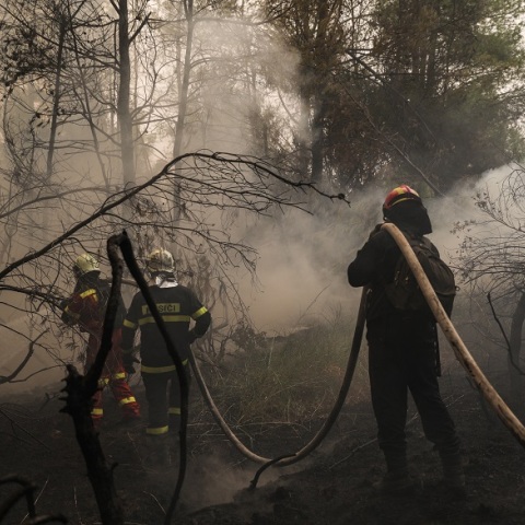 Φωτιά στην Εύβοια: Πυροσβέστες σε καμένες εκτάσεις για αναζωπυρώσεις