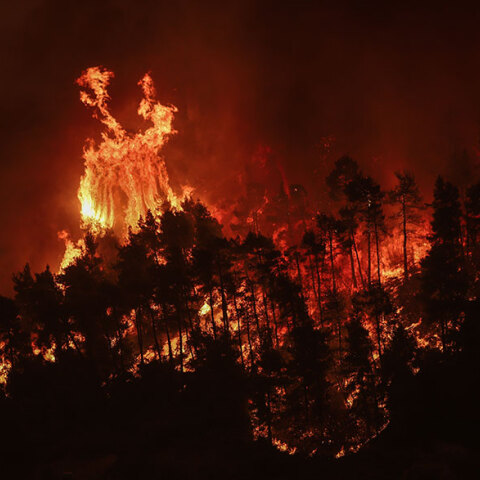 Φωτιά στην Εύβοια: Ολόκληρη πλαγιά παραδομένη στις φλόγες