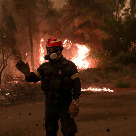 Φωτιά στην Εύβοια: Πυροσβέστης στο πύρινο μέτωπο - Ο ΟΠΕΚΑ χορηγεί εφάπαξ 6.000 ευρώ σε εγκαυματίες