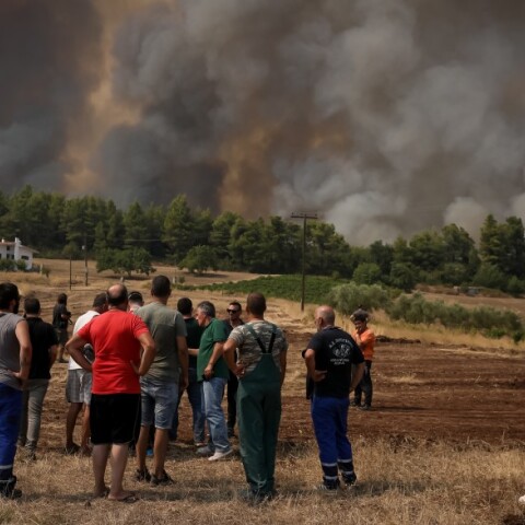 Πυρόπληκτοι στην Β. Εύβοια © EUROKINISSI