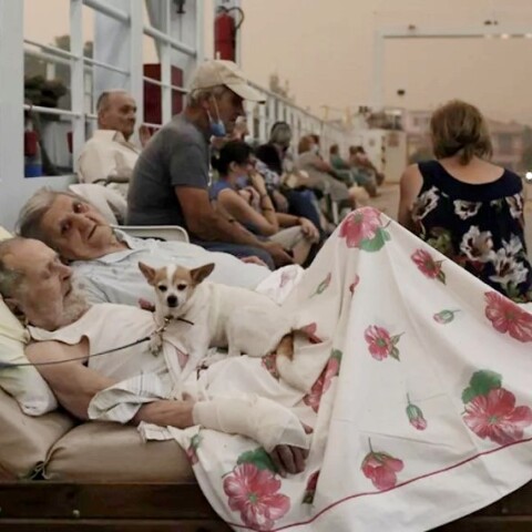 Το ηλικιωμένο ζευγάρι στο Πευκί Ευβοίας/ Φωτογραφία ΑΠΕ-ΜΠΕ ΚΩΣΤΑΣ ΤΣΙΡΩΝΗΣ 