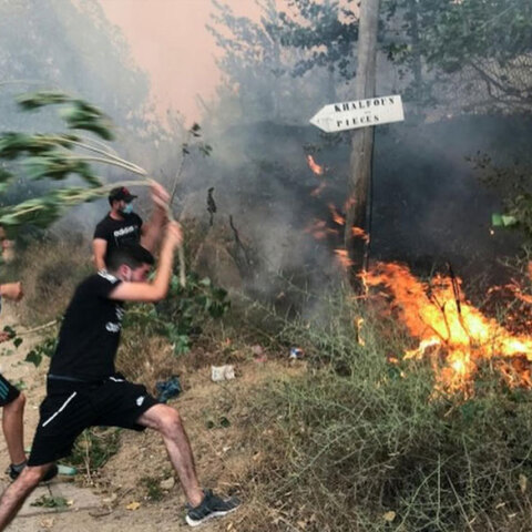 Πολίτες με κλαδιά μάχονται τις φλόγες στην Αλγερία, όπου οι πυρκαγιές έχουν προκαλέσει τον θάνατο 69 ανθρώπων