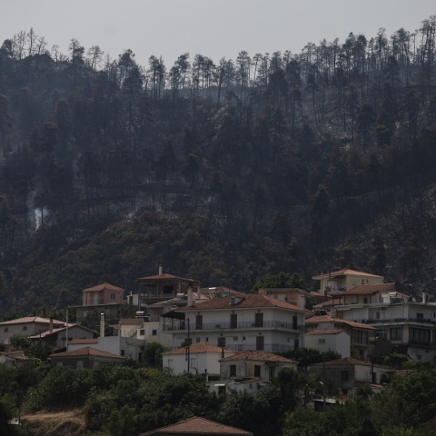 Καμένες εκτάσεις στη Βόρεια Εύβοια μετά τις φωτιές 