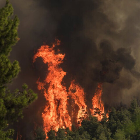 Δασική πυρκαγιά (ΦΩΤΟ ΑΡΧΕΙΟΥ) - Κεραυνός προκάλεσε φωτιά στην Αταλάντη