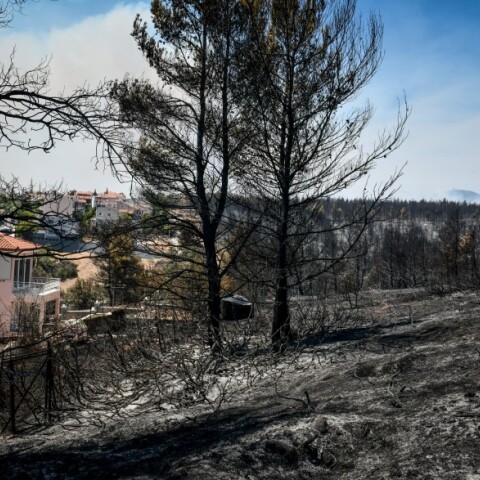 Φωτιά στη Βαρυμπόμπη © EUROKINISSI