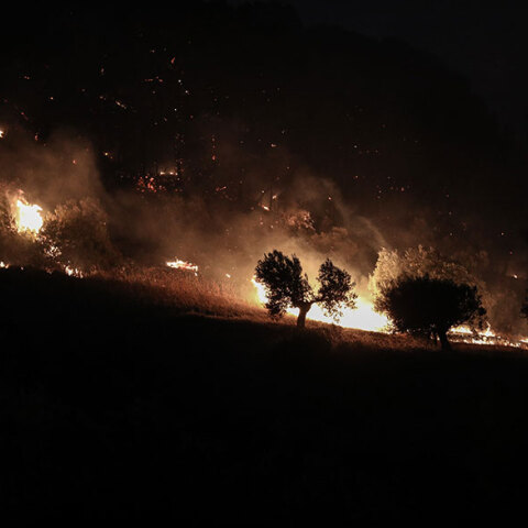 Φωτιά καίει δάσος και ελαιόδεντρα σε πλαγιά - Συνεχείς αναζωπυρώσεις σε Εύβοια, Μάνη, Ηλεία και Αρκαδία, με τους πυροσβέστες να δίνουν μία ακόμη ολονύχτια μάχη με τις φλόγες