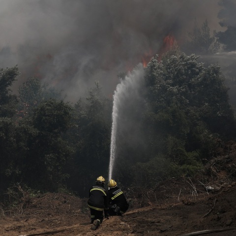 Συνεχείς είναι οι αναζωπυρώσεις στην Εύβοια, όπου η φωτιά μαίνεται για όγδοη ημέρα, Τρίτη 10 Αυγούστου 2021. Στιγμιότυπο από το μέτωπο της Αβγαριάς