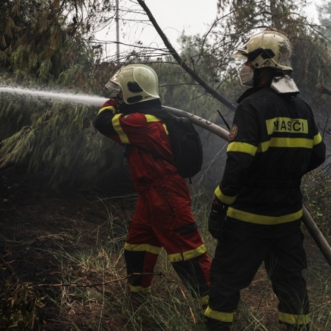 Πυρκαγιές: Πυροσβέστες επιχειρούν στα πύρινα μέτωπα της Εύβοιας