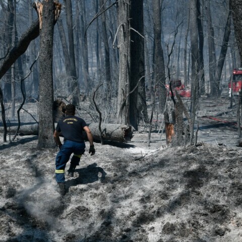Φωτιά στο Τατόι © EUROKINISSI / ΜΙΧΑΛΗΣ ΚΑΡΑΓΙΑΝΝΗΣ
