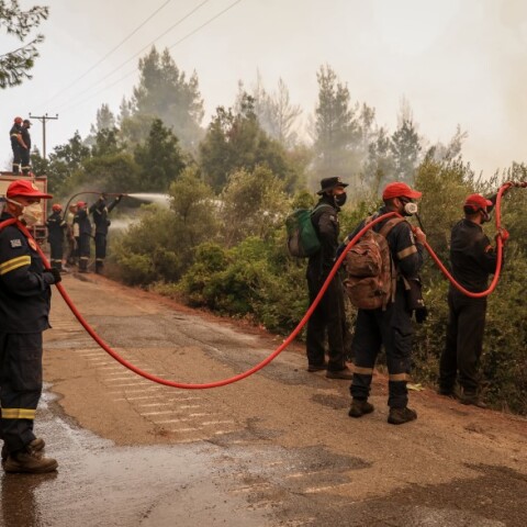 Φωτιά στην Εύβοια © EUROKINISSI