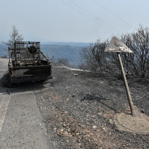 Φωτιές: Στιγμιότυπο από την επόμενη ημέρα της φωτιάς στη Γορτυνία