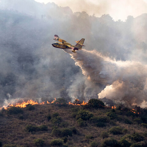 Πυρκαγιές στην Ιταλία: Καναντέρ επιχειρεί σε φωτιά