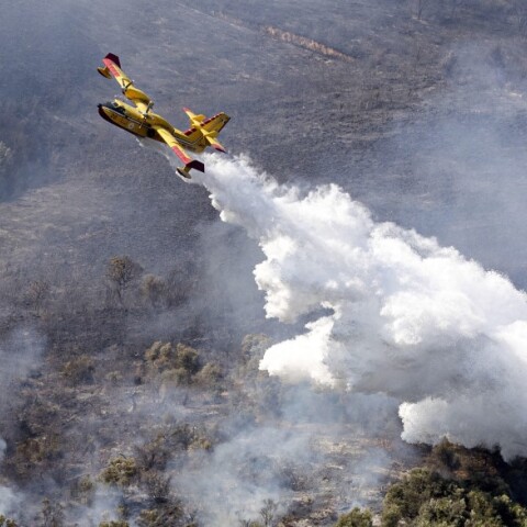 Πυροσβεστικό αεροπλάνο σβήνει τη φωτιά σε δασική έκταση στο λόφο Tivoli, κοντά στη Ρώμη / Ιταλία, 12 Αυγούστου 2021 ©EPA / MASSIMO PERCOSSI