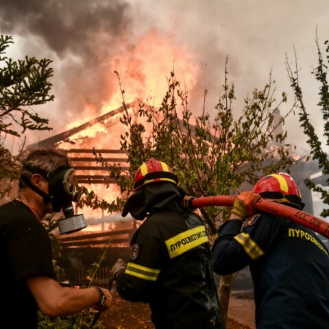 Φωτιά στις Αφίδνες  Αττικής © EUROKINISSI / ΤΑΤΙΑΝΑ ΜΠΟΛΑΡΗ