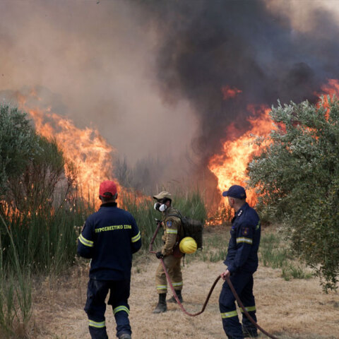 Πυροσβέστες σε δασική πυρκαγιά - Στην Εύβοια η νέα φωτιά που ξέσπασε, οδηγήσε σε προληπτική εκκένωση του οικισμού Μεσοχώρια