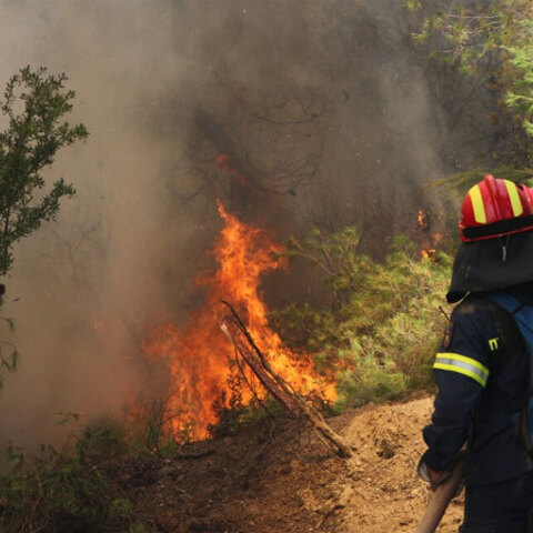 Πυροσβέστες σε δασική πυρκαγιά - Φωτιά ξέσπασε στην Εύβοια, στην περιοχή Μεσοχώρια Καρύστου
