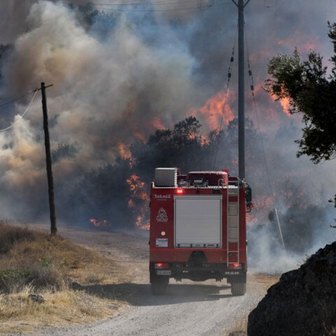 Πυροσβεστικό όχημα σε δασική πυρκαγιά - Ξέσπασε φωτιά στην Εύβοια, στην περιοχή Πετριές