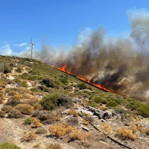 Φωτιά στα Μεσοχώρια Καρύστου, στο νότιο τμήμα της Εύβοιας