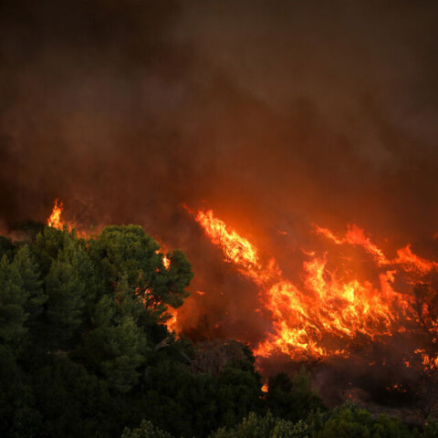 Δασική πυρκαγιά (ΦΩΤΟ ΑΡΧΕΙΟΥ) - Πολύ υψηλός ο κίνδυνος πυρκαγιάς σήμερα Σάββατο 14 Αυγούστου 2021 σε 6 περιφέρειες
