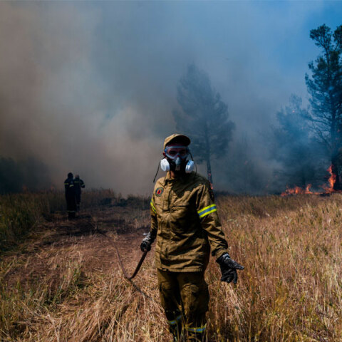 Πυροσβέστης επιχειρεί σε φωτιά (ΦΩΤΟ ΑΡΧΕΙΟΥ) - Πολύ υψηλός ο κίνδυνος πυρκαγιάς τον Δεκαπενταύγουστο