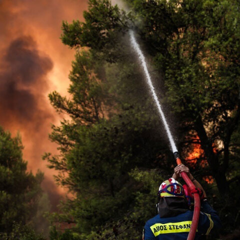 Πυροσβέστης ρίχνει νερό σε δασική πυρκαγιά