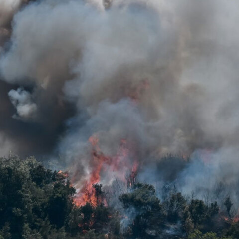 Φωτιά καίει δάσος - Η πυρκαγιά στα Βίλια οδήγησε σε νέα εκκένωση οικισμών