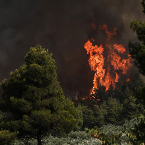 Δασική πυρκαγιά (ΦΩΤΟ ΑΡΧΕΙΟΥ) - Σχηματίστηκε δικογραφία για εμπρησμό σε βάρος 57χρονης στη Ρόδο