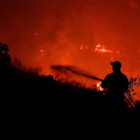 Πυροσβέστης σε δασική πυρκαγιά - Ολονύχτια η επιχείρηση στα Βίλια για να τεθεί υπό έλεγχο η φωτιά