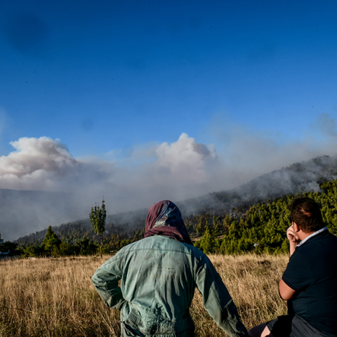Πυρκαγιές και επιτελικό κράτος