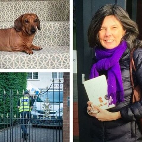 Έλεν Μπέιλι: Η συγγραφέας, ο πνιγμός του άντρα της και ο φονικός νέος έρωτας με ένα ναρκισσιστή απατεώνα.