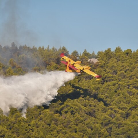 Φωτιά στα Βίλια Αττικής