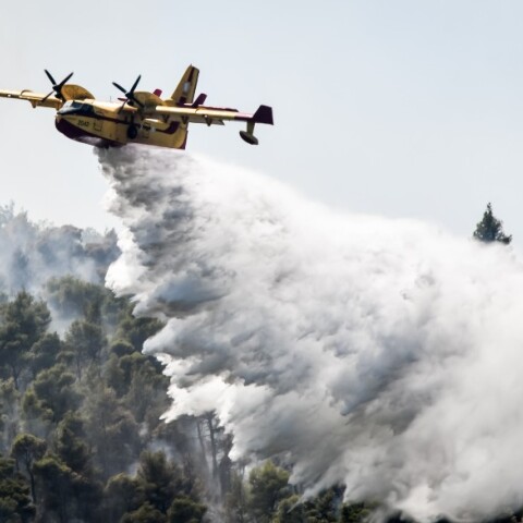 Φωτιά στα Βίλια Αττικής