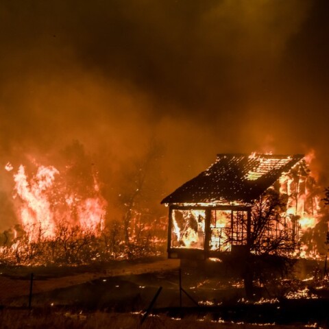 Φωτιά στα Βίλια © EUROKINISSI / ΜΙΧΑΛΗΣ ΚΑΡΑΓΙΑΝΝΗΣ