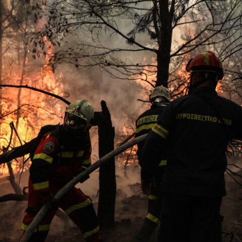 Φωτιά στα Βίλια © EUROKINISSI