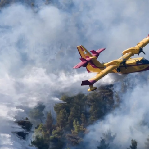 Φωτιά στα Βίλια © EUROKINISSI