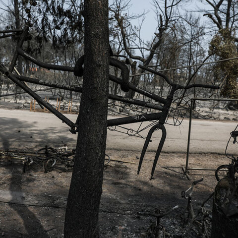 Εικόνες καταστροφής στην Εύβοια μετά τη φωτιά - Στη «Διαύγεια» όλα τα μέτρα για την εργασία