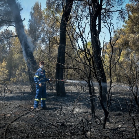 Φωτιά στη Φθιώτιδα © EUROKINISSI